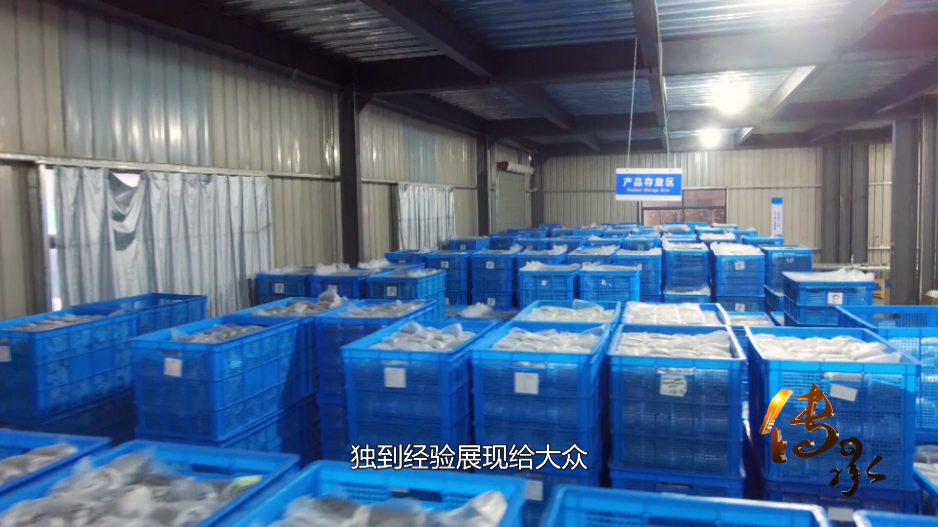 传承之《久违的传奇》