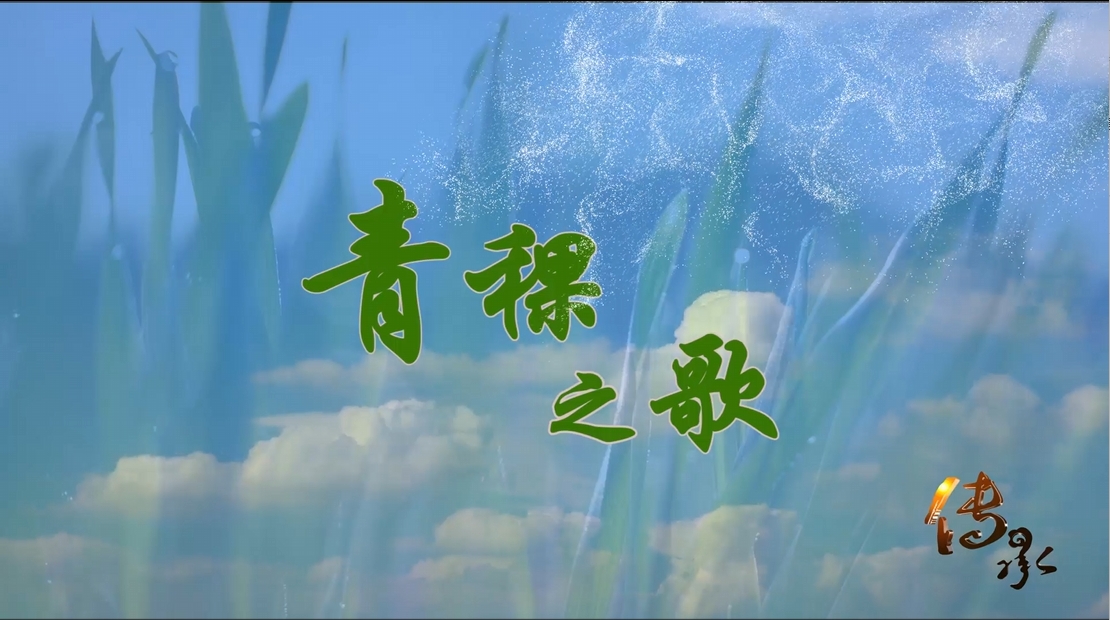 传承之《青稞之歌》